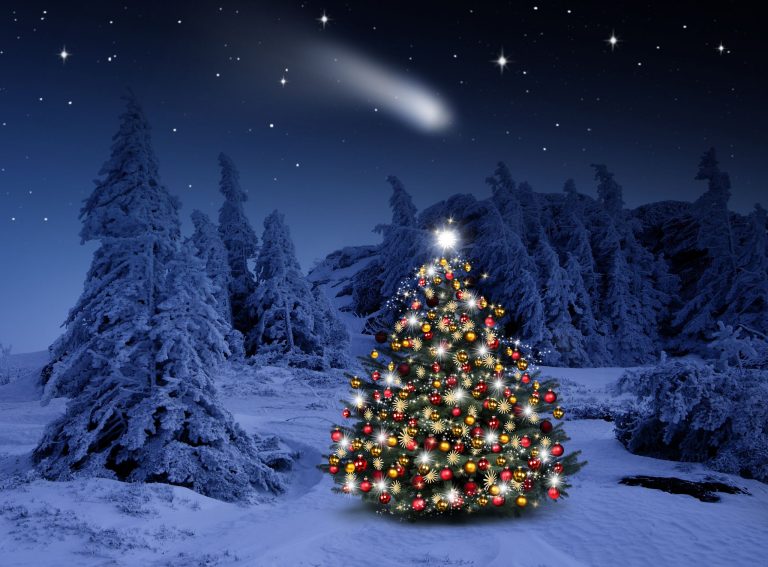 Christmas Newsletter