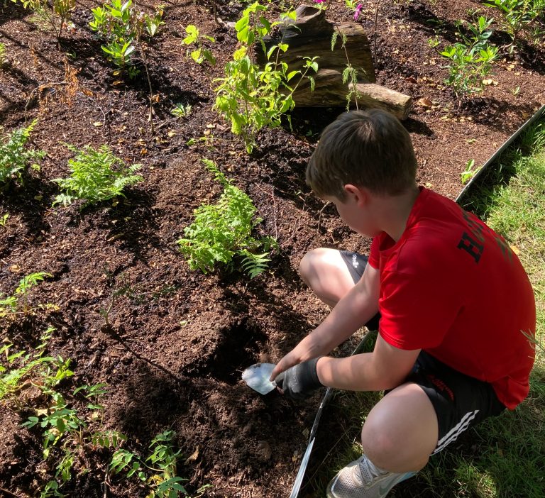 Gardening